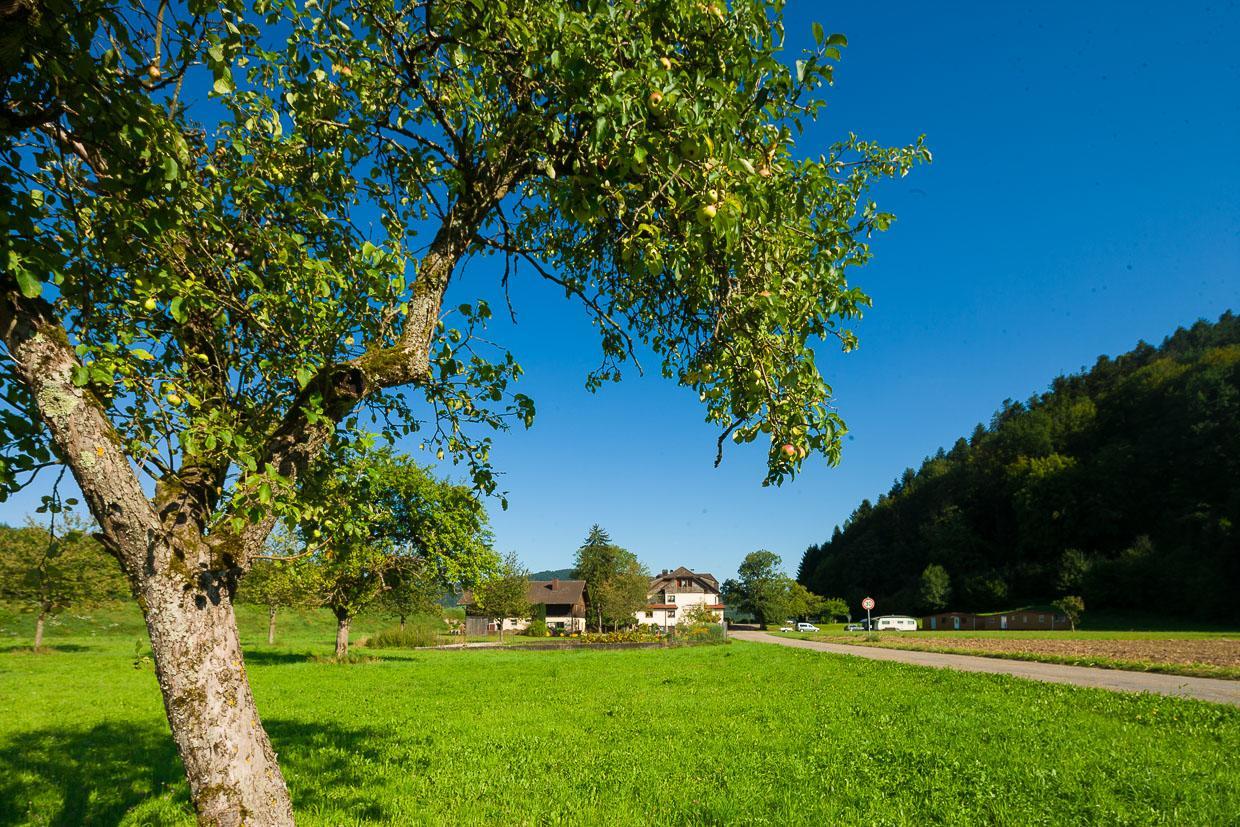 Landgasthof Kinzigstrand Биберах Экстерьер фото